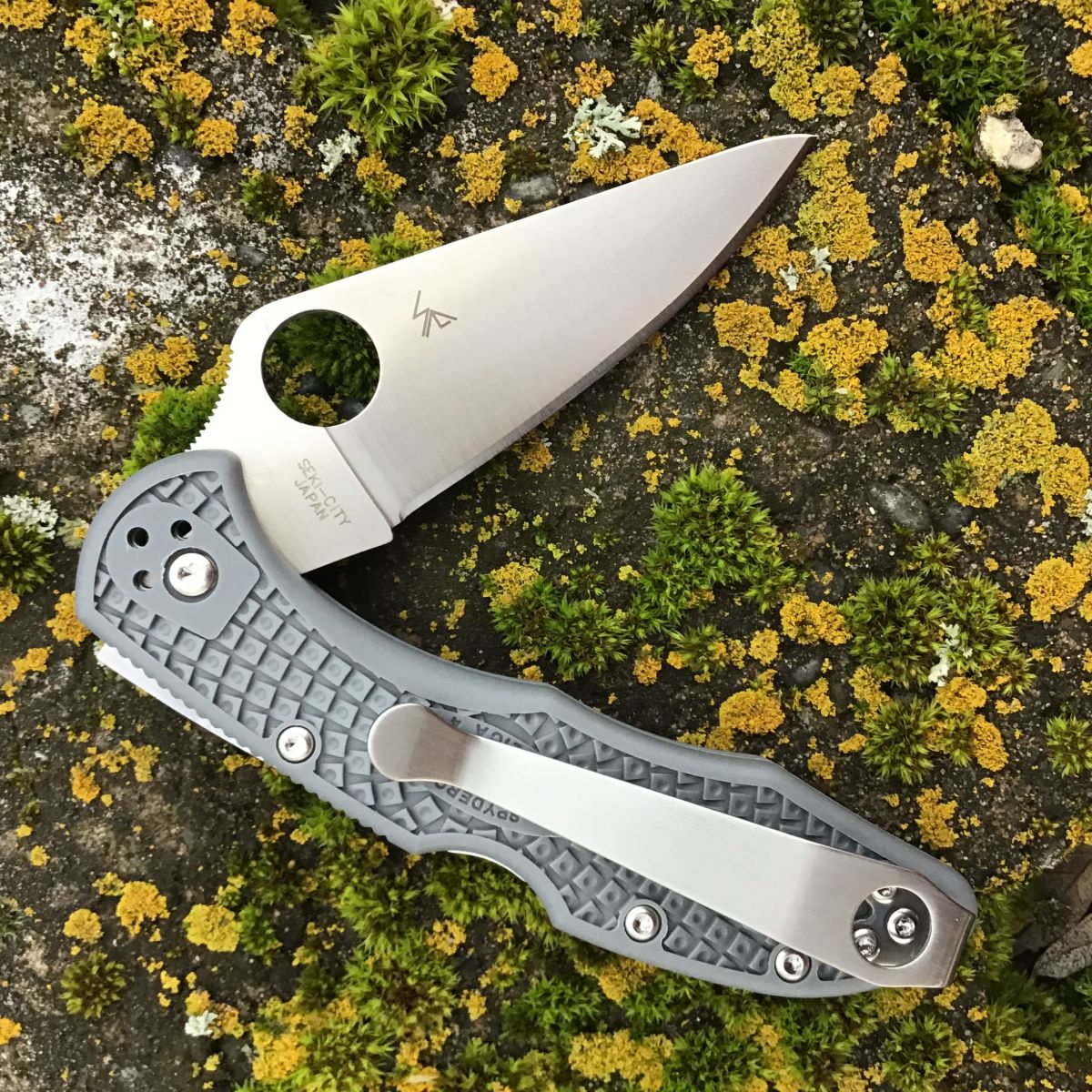 Spyderco Delica 4 Gray FRN VG-10 Blade (C11FPGY) Deep Carry 