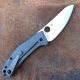 Spyderco Spydiechef Titanium Gray Scales Satin LC200N Blade Folding Knife