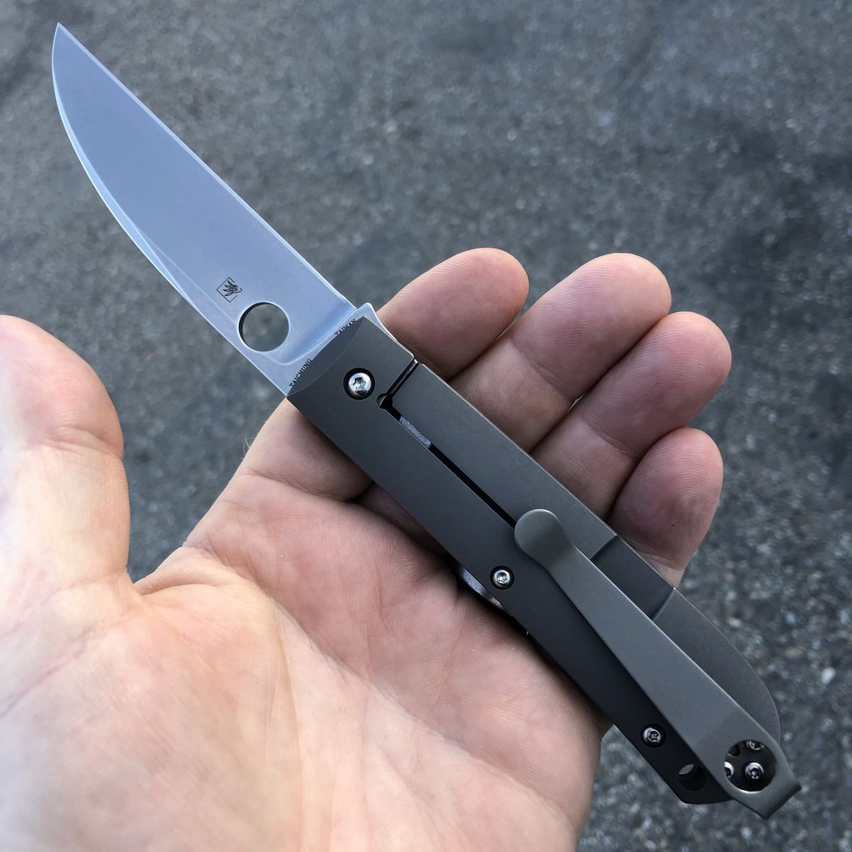 Spyderco Swayback Titanium Gray Scales Satin CTS-XHP Blade 