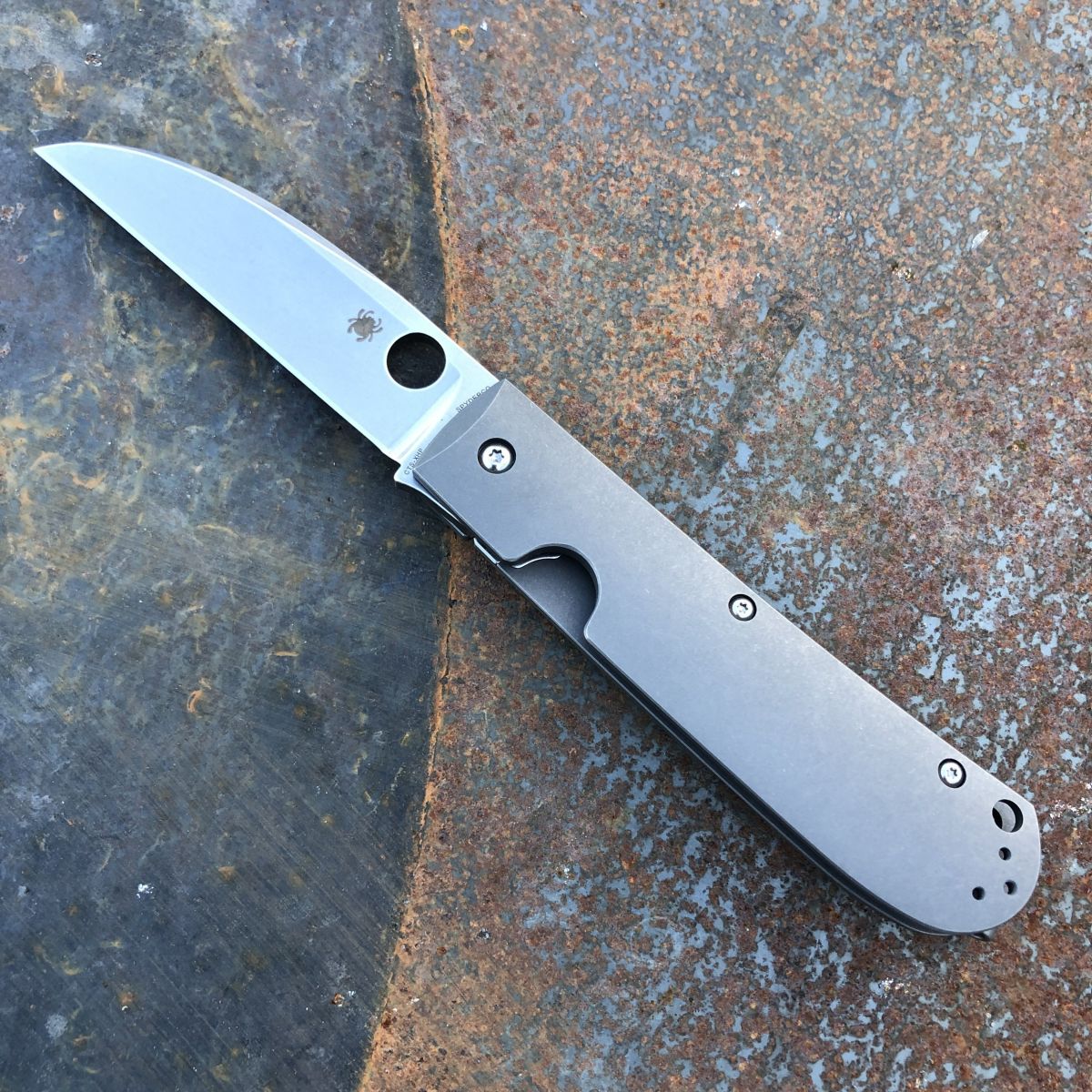 Spyderco Swayback Titanium Gray Scales Satin CTS-XHP Blade 