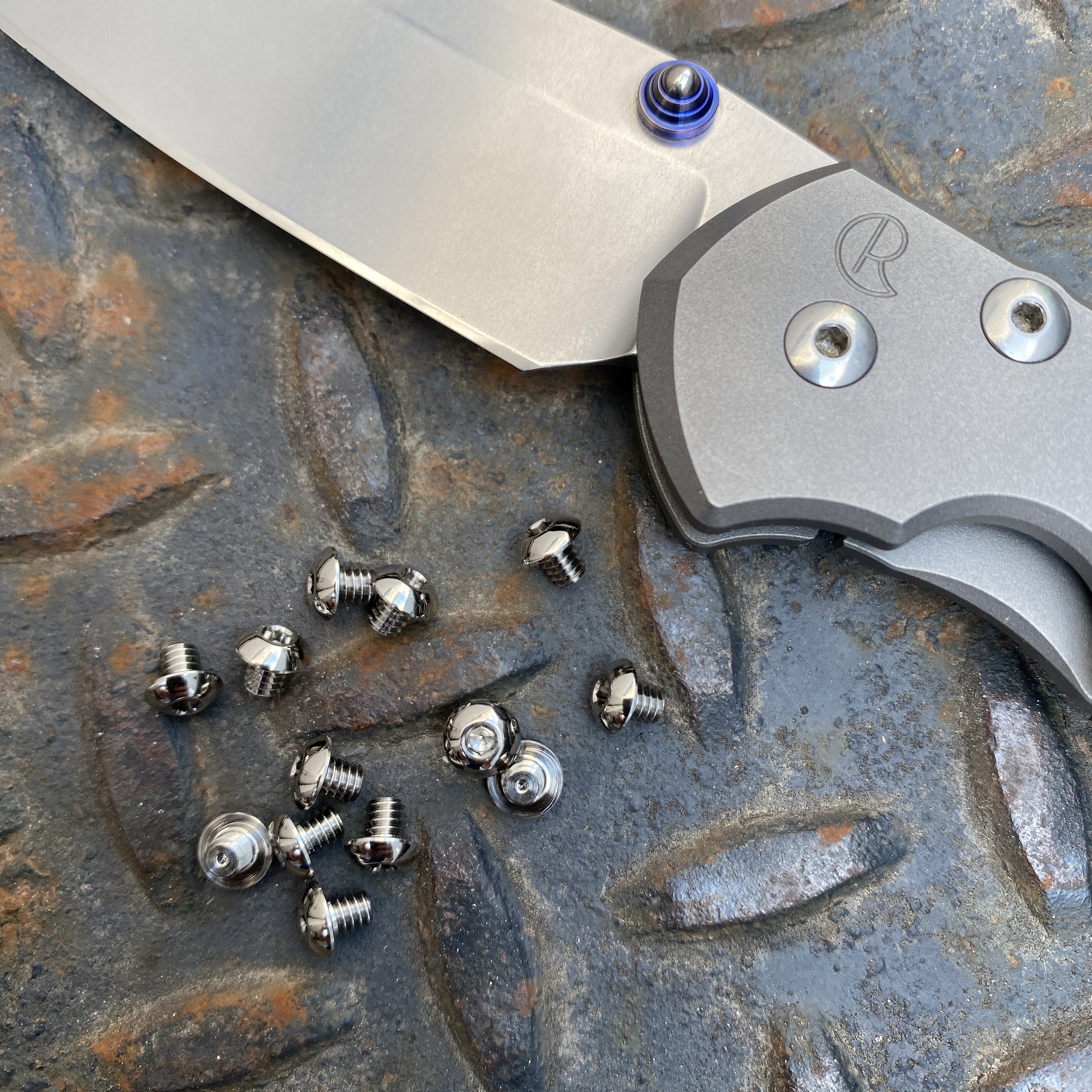 Chris Reeve Clip Screw