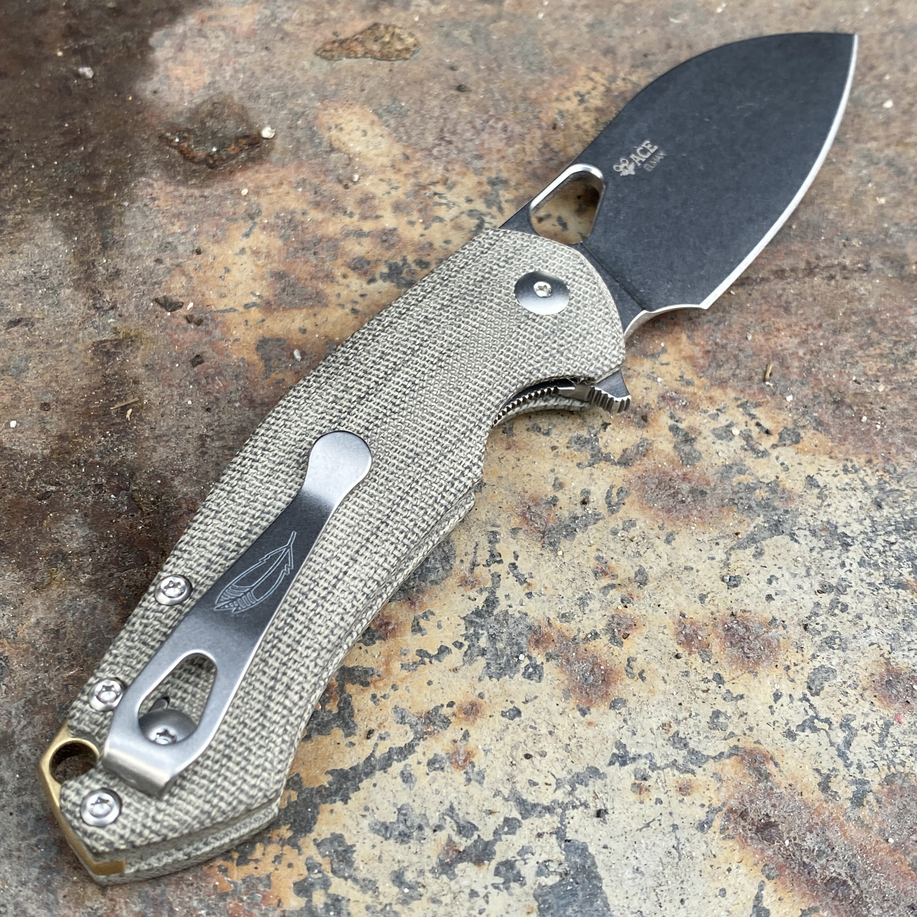 GiantMouseACEBiblioGreenCanvas