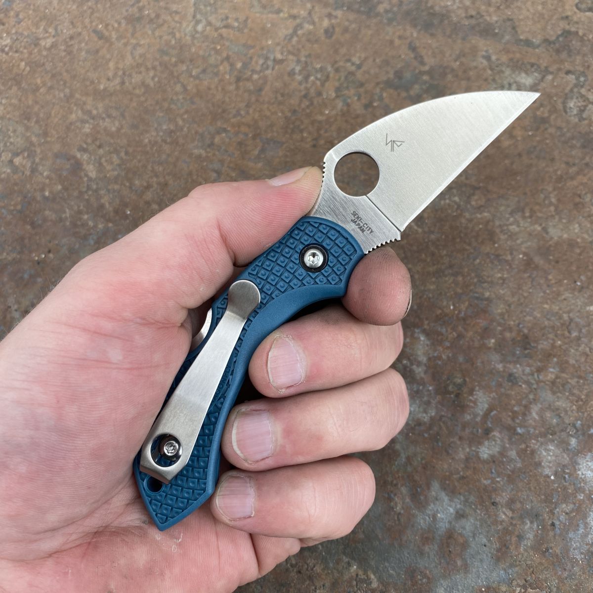 Spyderco Dragonfly 2 Blue FRN Wharncliffe K390 (C28FP2WK390) Deep