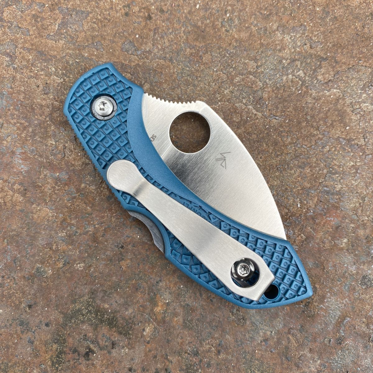 Spyderco Dragonfly 2 Blue FRN Wharncliffe K390 (C28FP2WK390) Deep