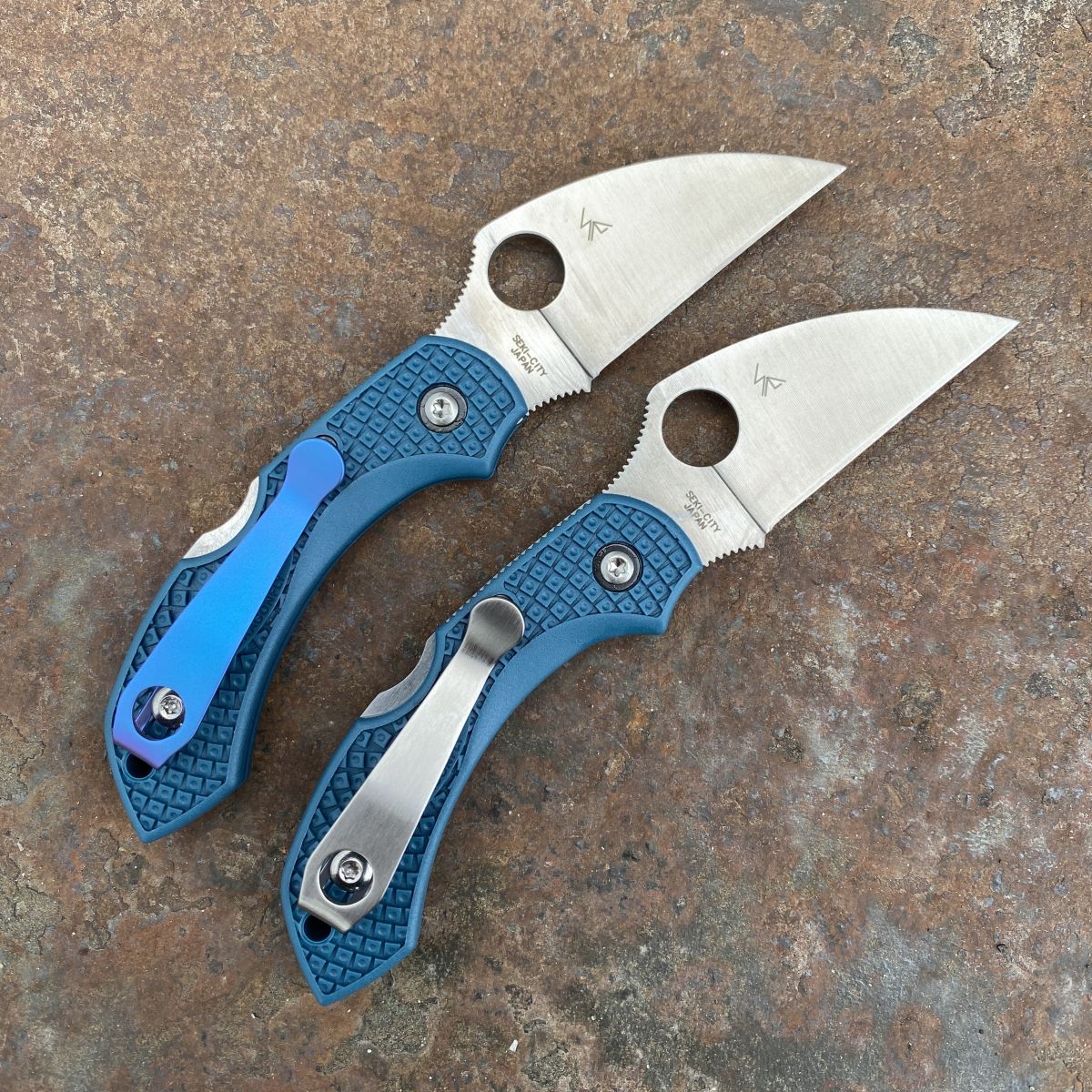 SpydercoDragonfly2BlueFRNWharn