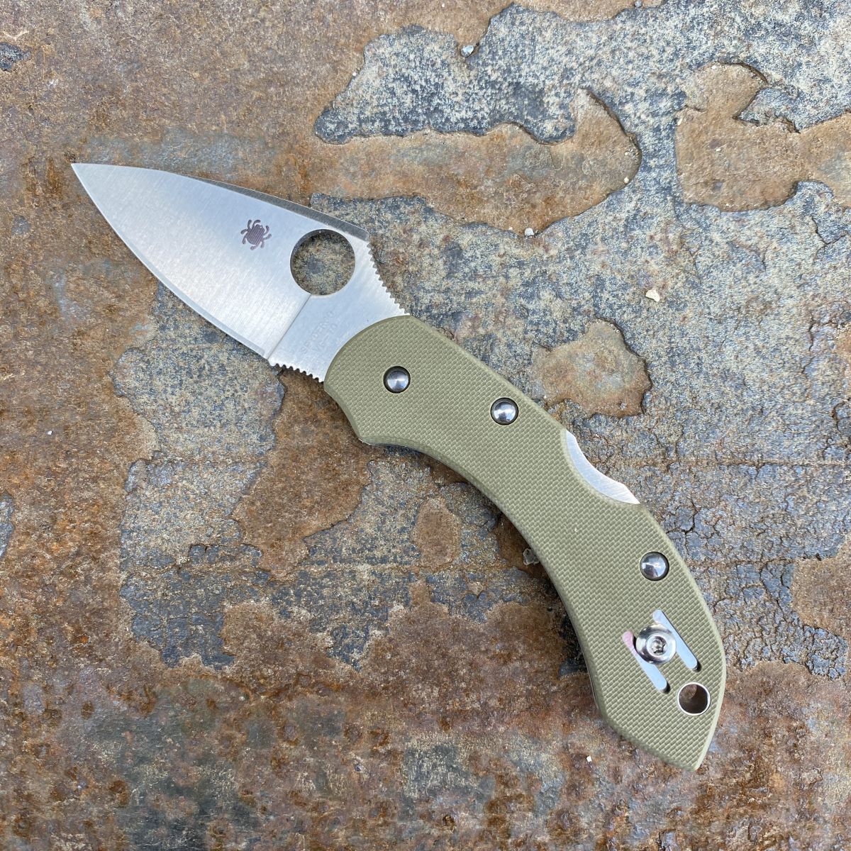 Spyderco Dragonfly Foliage Green G10 VG-10 Deep Carry Titanium Clip
