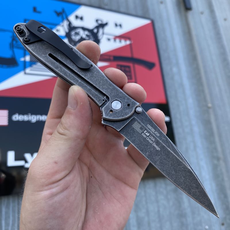Kershaw Leek A/O Frame Lock Black Stainless Steel Blackwash Sandvik 14C28N Folding Knife