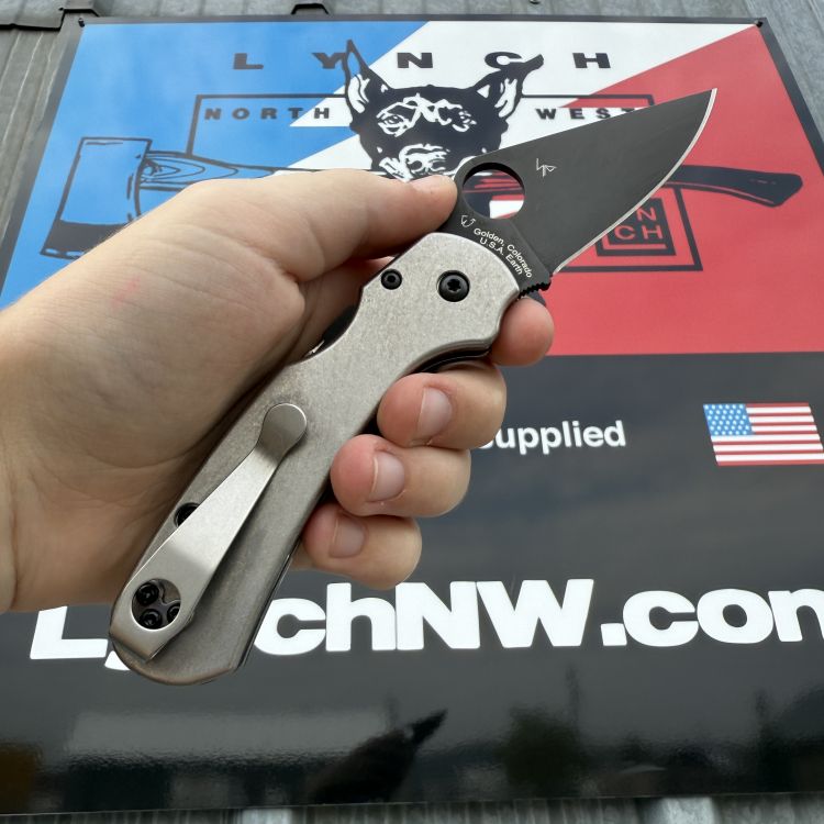 Spyderco Para 3 LW Skinny MOD 1 Stone Plain Black CTS BD1N Stone Back-Spacer STO Clip MOD Knife